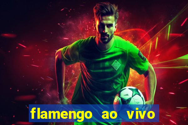 flamengo ao vivo multi tv